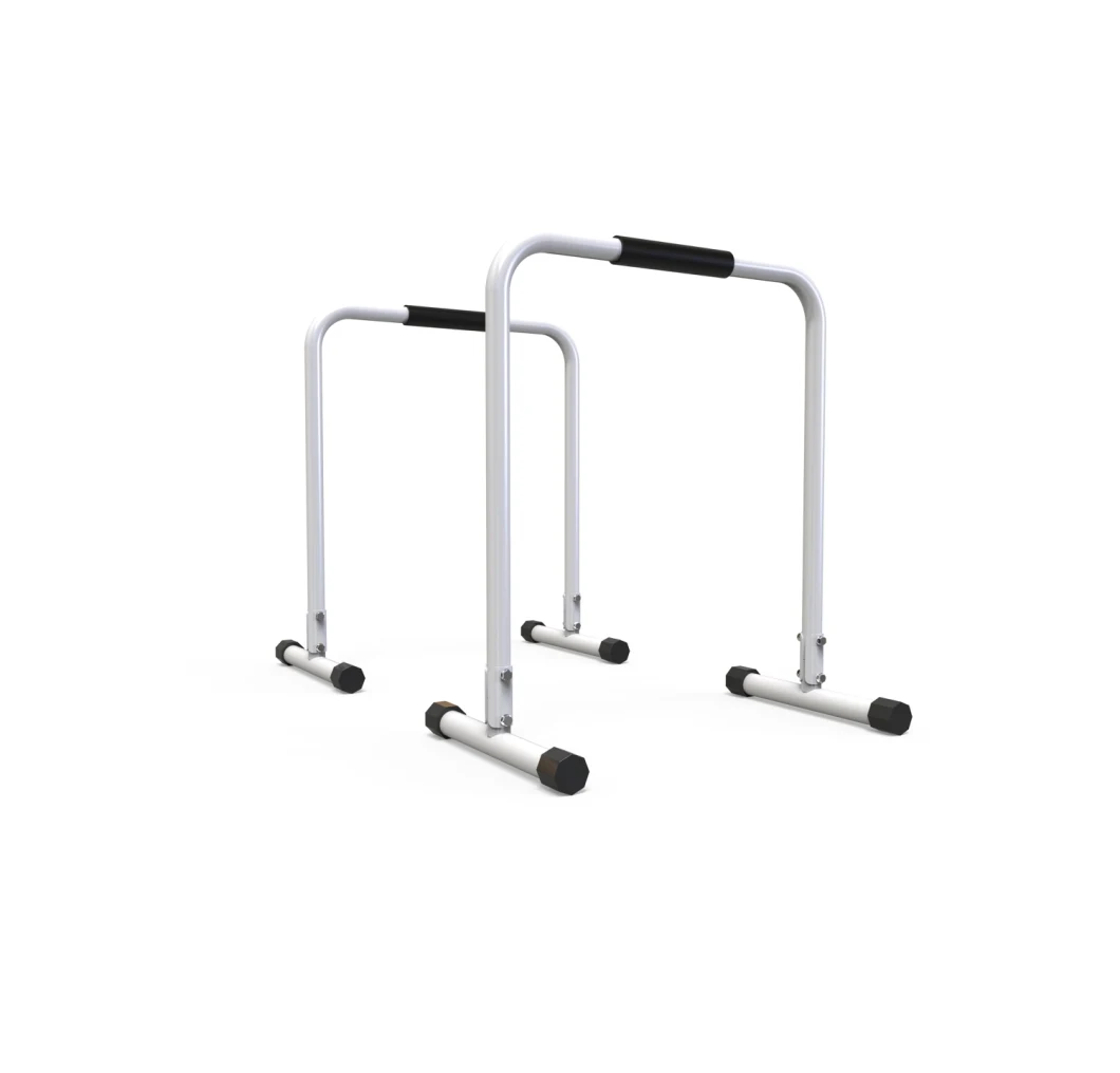 Life Fitness Hot Sale DIP Station Functional DIP Stands Fitness Equipment DIP Bar Station Stabilizer Parallette Push up Stand