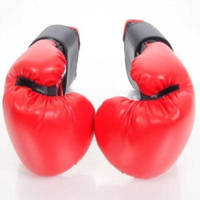 Gym Equipment Free Weight Boxing Glove Wh-003