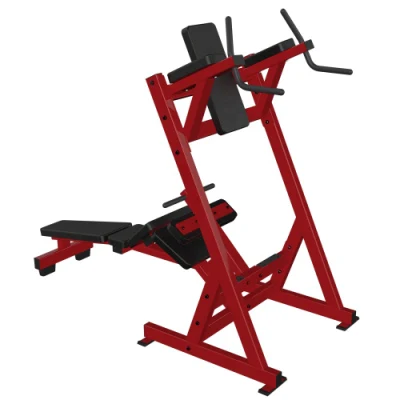 Commercial Gym Sports Exercise Products Abdominal Bench Abdominal Extension Rack