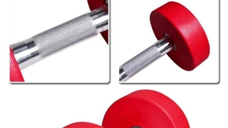 Hight Quality Gym Accessories PU Dumbbell Free Weight